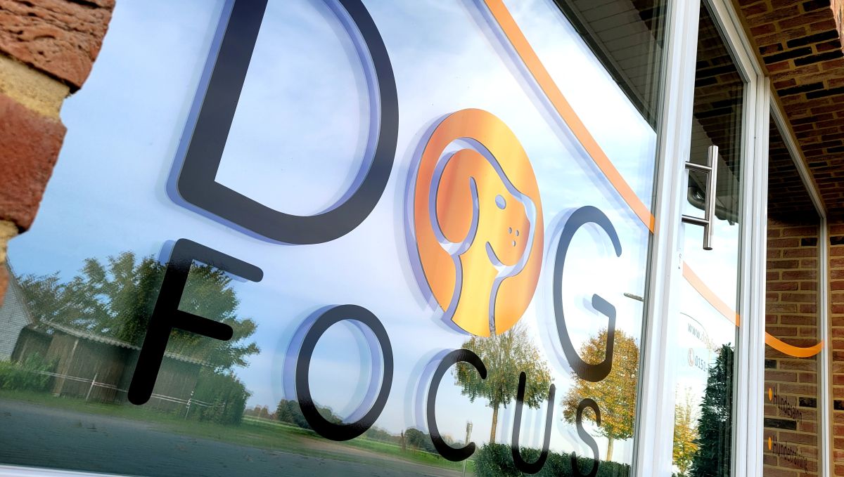 Hundesalon Dog Focus Drebber Außenansicht/Eingangstür